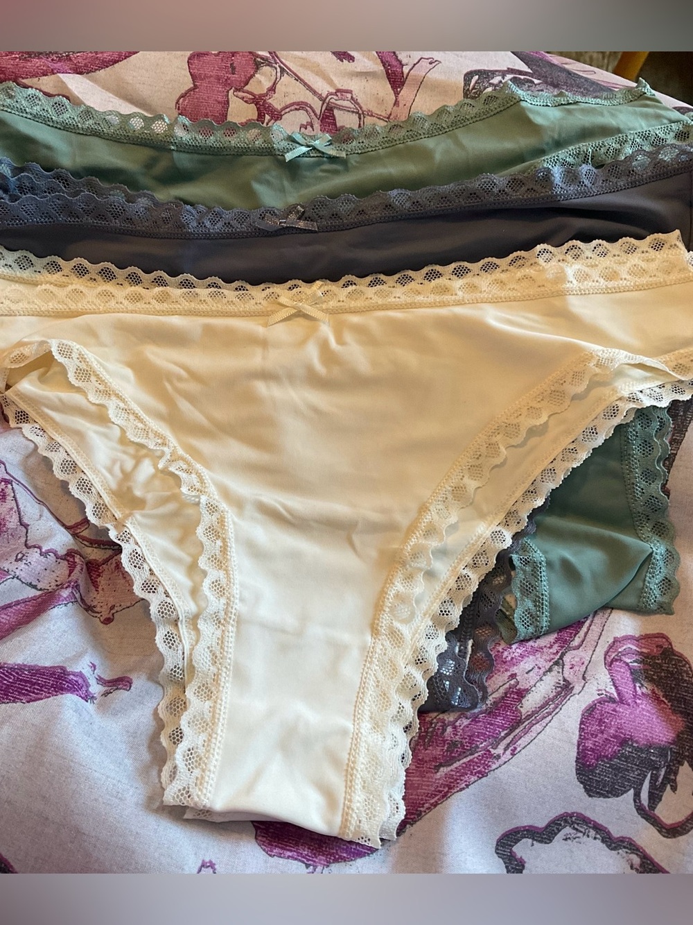 Lace Trim Bikini Panties - Cream, Sage & Gray - Set of Nine. Waist 14”…Large
